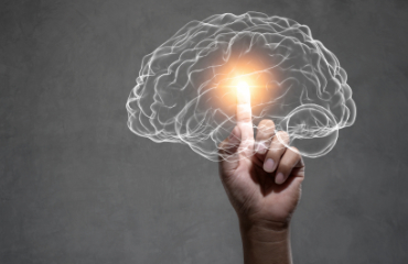 A Influência da Psicologia Cognitiva na Estruturação do Cadastro de Materiais